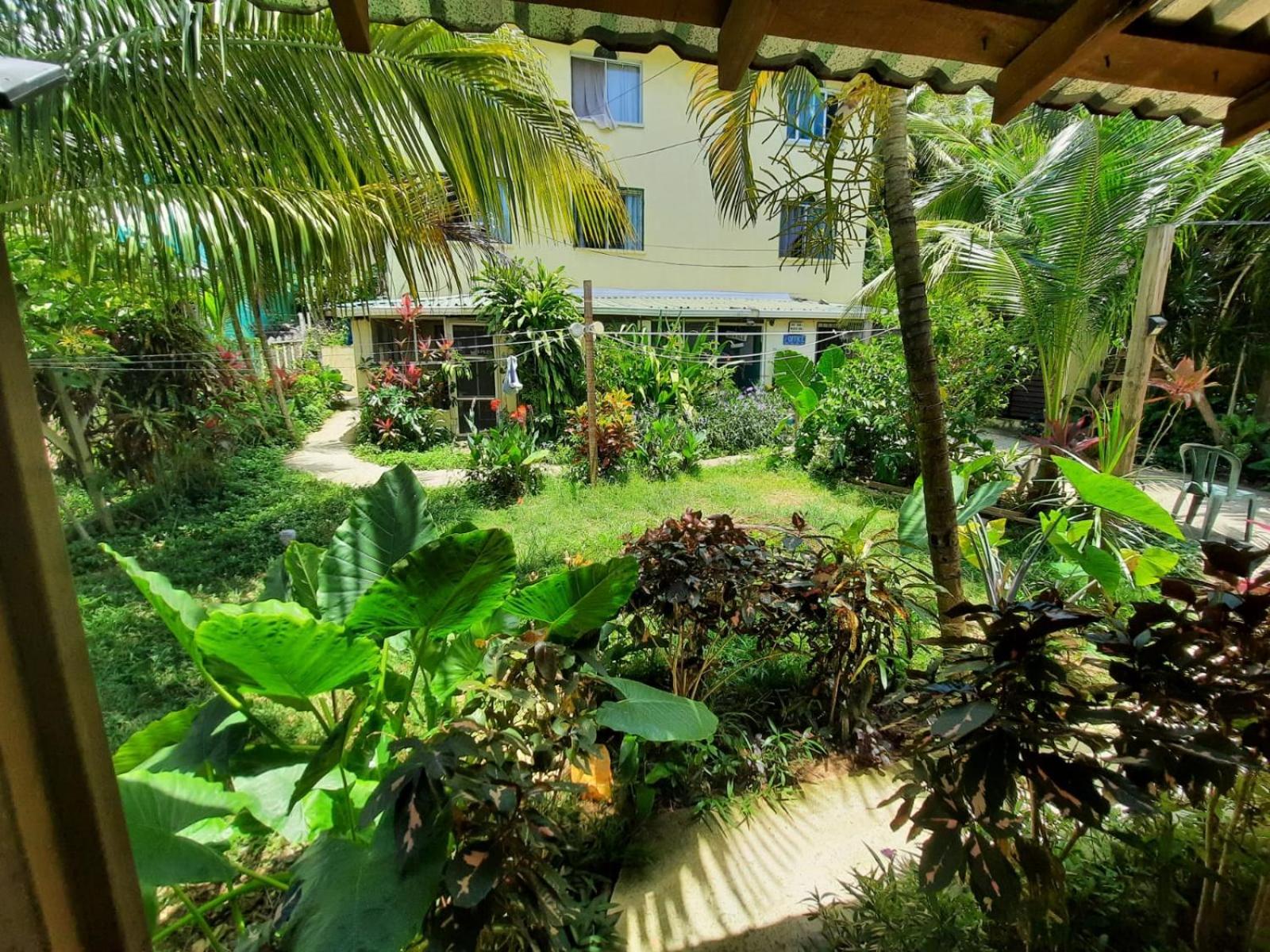 Roatan Backpackers' Hostel Sandy Bay Esterno foto