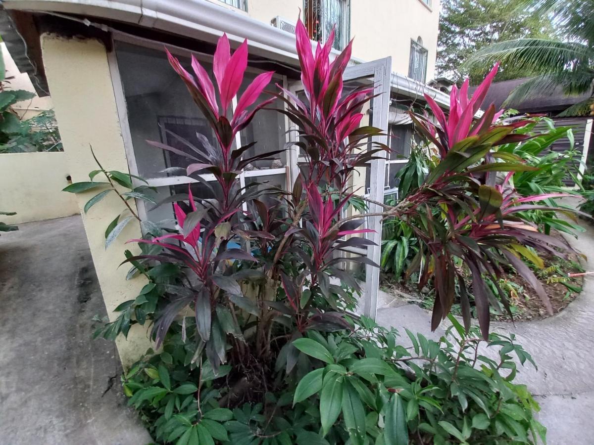 Roatan Backpackers' Hostel Sandy Bay Esterno foto